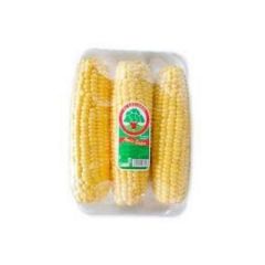MAIZ_DULCE_EN_MAZORCA_EL_CAUJARAL_3_UNID